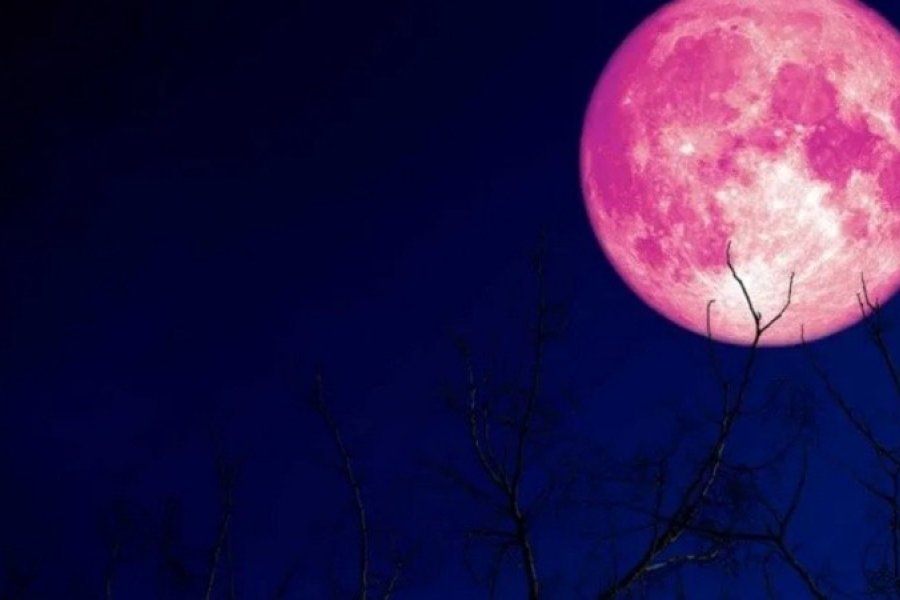 Superluna De Fresa 2022 A Qué Hora Se Verá En Argentina Y Cómo Observarla Diario Castellanos